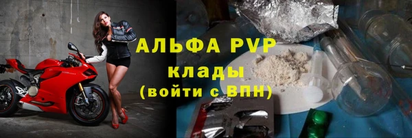 круглые Белокуриха