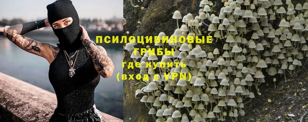круглые Белокуриха